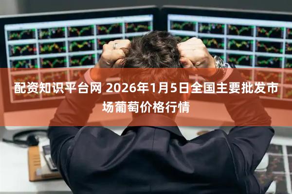 配资知识平台网 2026年1月5日全国主要批发市场葡萄价格行情